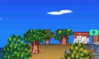 Animal Crossing : Wild World