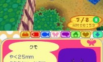 Animal Crossing : Wild World