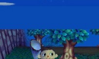 Animal Crossing : Wild World