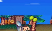 Animal Crossing : Wild World