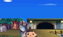 Animal Crossing : Wild World