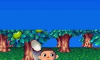 Animal Crossing : Wild World