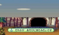 Animal Crossing : Wild World