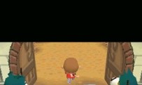 Animal Crossing : Wild World