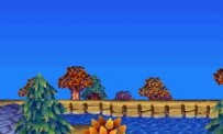 Animal Crossing : Wild World