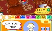 Animal Crossing : Wild World
