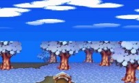 Animal Crossing : Wild World