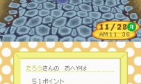 Animal Crossing : Wild World