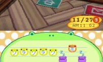 Animal Crossing : Wild World