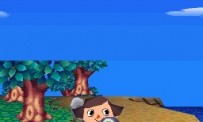 Animal Crossing : Wild World