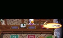Animal Crossing : Wild World