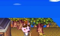 Animal Crossing : Wild World