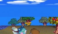 Animal Crossing : Wild World