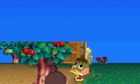 Animal Crossing : Wild World