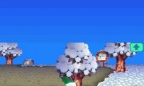 Animal Crossing : Wild World