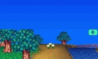 Animal Crossing : Wild World