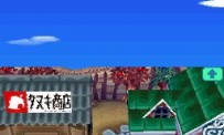 Animal Crossing : Wild World