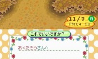 Animal Crossing : Wild World