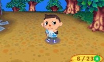 Animal Crossing : Wild World