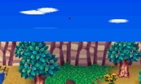 Animal Crossing : Wild World