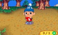 Animal Crossing : Wild World