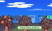 Animal Crossing : Wild World