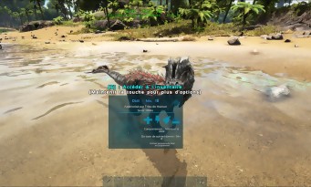 ARK : Survival Evolved