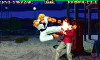 Art of Fighting Anthology