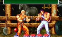 Art of Fighting Anthology