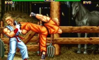 Art of Fighting Anthology