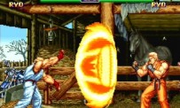 Art of Fighting Anthology
