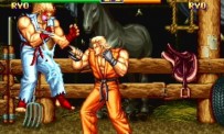 Art of Fighting Anthology