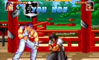 Art of Fighting Anthology