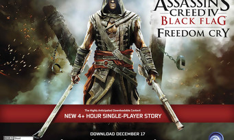 Assassin's Creed 4 : Black Flags