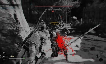 Assassin's Creed Shadows