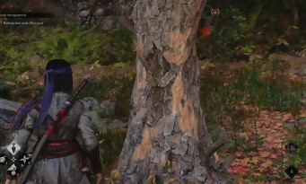 Assassin's Creed Shadows