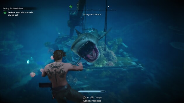 Assassin’s Creed Black Flag Resynced
