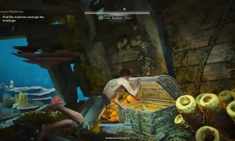 Assassin’s Creed Black Flag Resynced