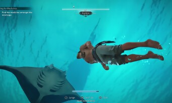 Assassin’s Creed Black Flag Resynced