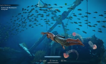 Assassin’s Creed Black Flag Resynced
