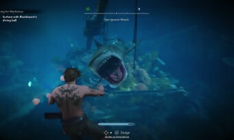 Assassin’s Creed Black Flag Resynced