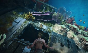 Assassin’s Creed Black Flag Resynced