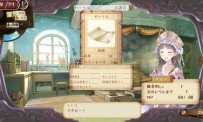 Atelier Totori  The Adventurer of Arland