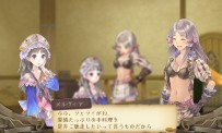 Atelier Totori  The Adventurer of Arland