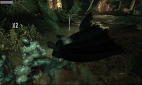 Batman : Arkham Asylum