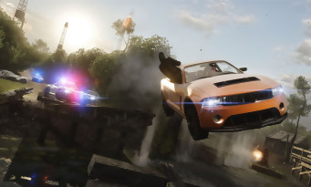 Battlefield Hardline