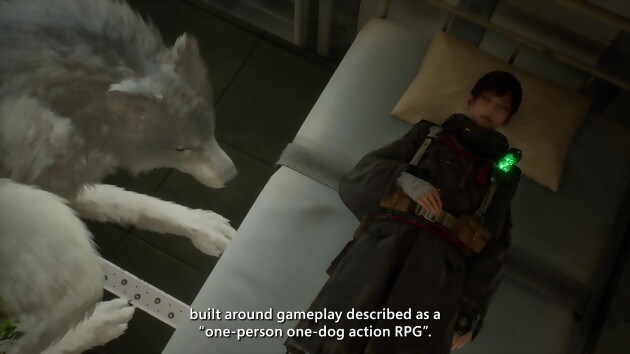 Beast of Reincarnation