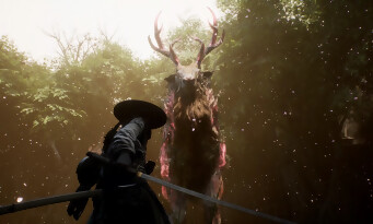 Beast of Reincarnation