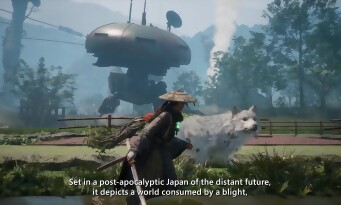 Beast of Reincarnation