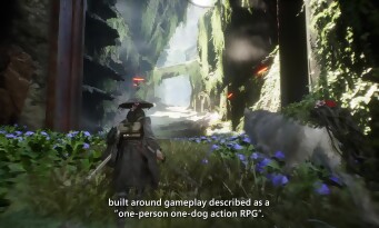 Beast of Reincarnation